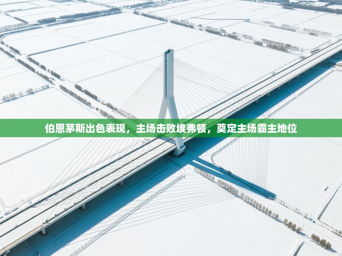 开云体育入口客服-伯恩茅斯出色表现，主场击败埃弗顿，奠定主场霸主地位  第2张