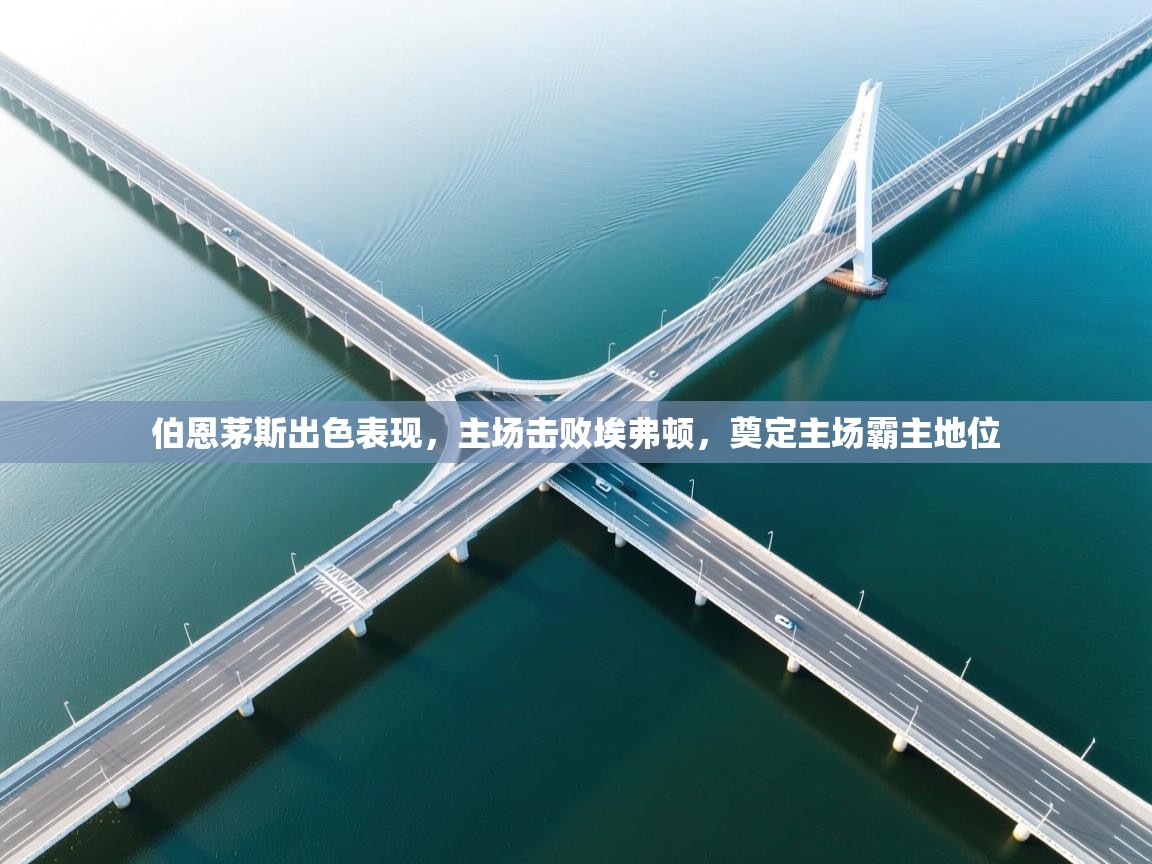 开云体育入口客服-伯恩茅斯出色表现，主场击败埃弗顿，奠定主场霸主地位  第4张