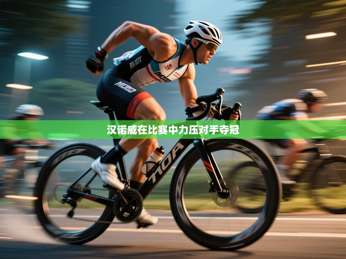 开云体育旧版下载地址-汉诺威在比赛中力压对手夺冠  第1张