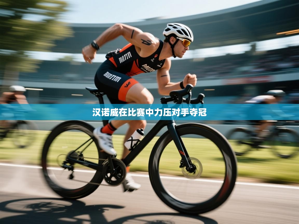 开云体育旧版下载地址-汉诺威在比赛中力压对手夺冠  第4张