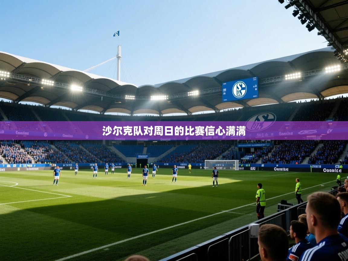 开云体育app下载-沙尔克队对周日的比赛信心满满 第1张