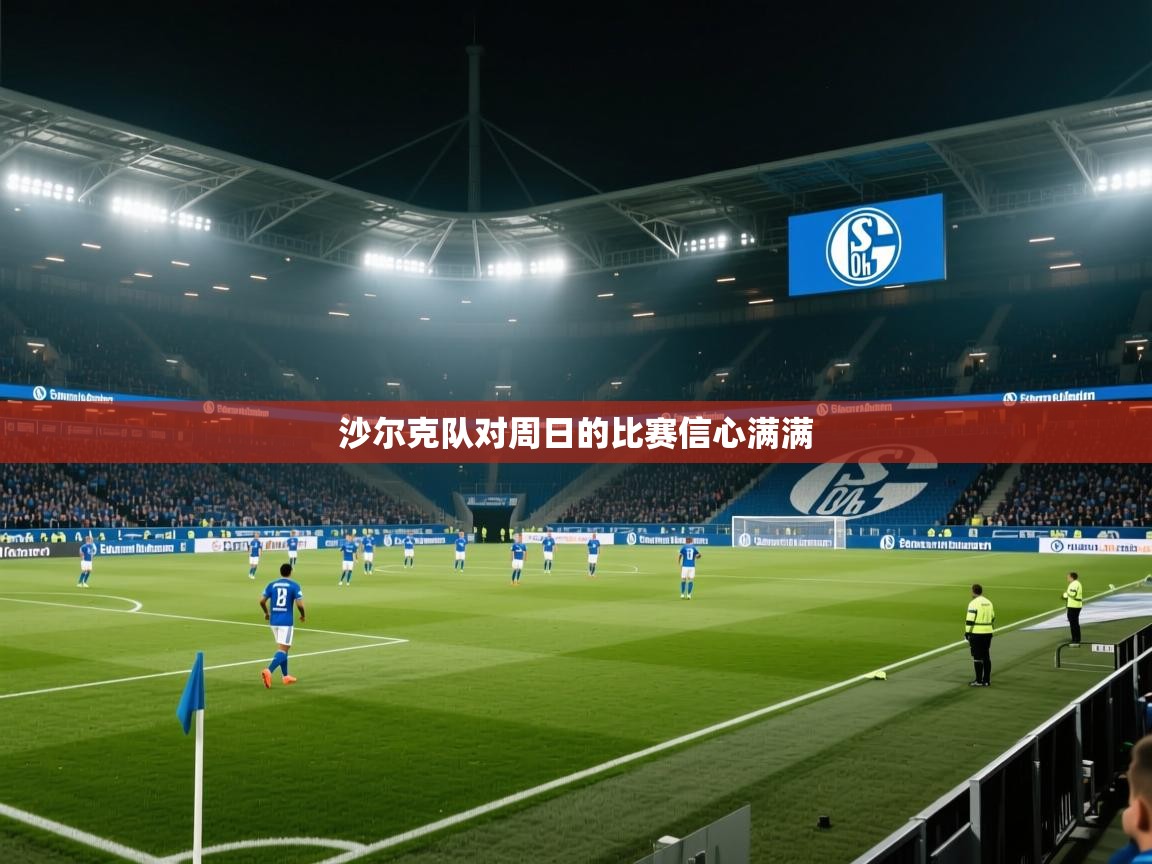 开云体育app下载-沙尔克队对周日的比赛信心满满 第4张