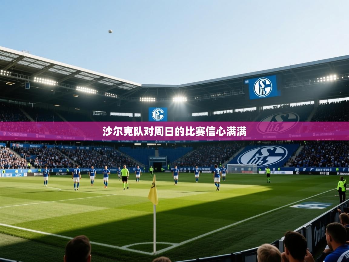 开云体育app下载-沙尔克队对周日的比赛信心满满 第3张