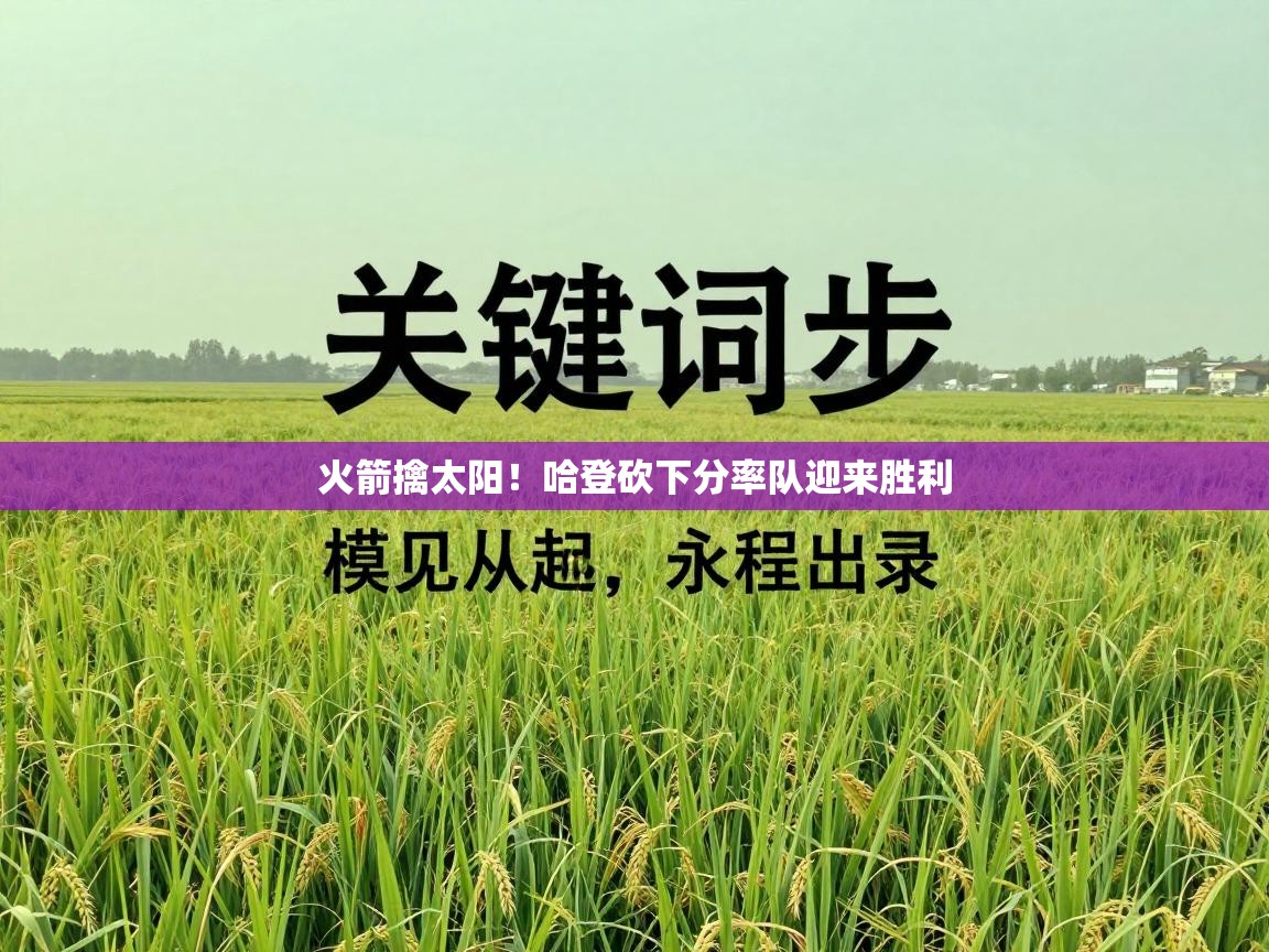 开云体育入口-火箭擒太阳！哈登砍下分率队迎来胜利  第1张